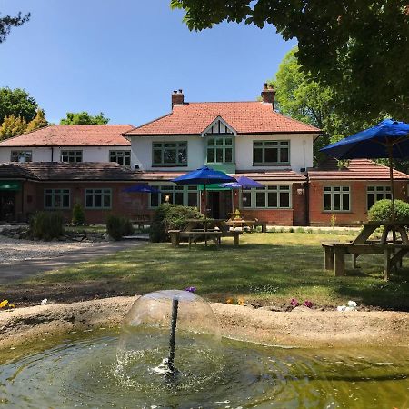 Le Chateau Cadnam Cameră foto